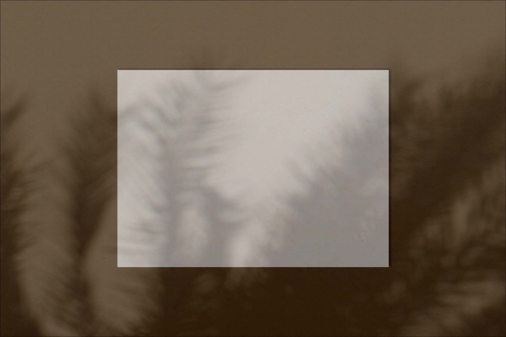 28+ Download Poster Shadow Mockup&nbsp;Psd